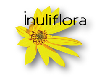 Claudette Samson, Le Soleil du 24 juillet 2012.